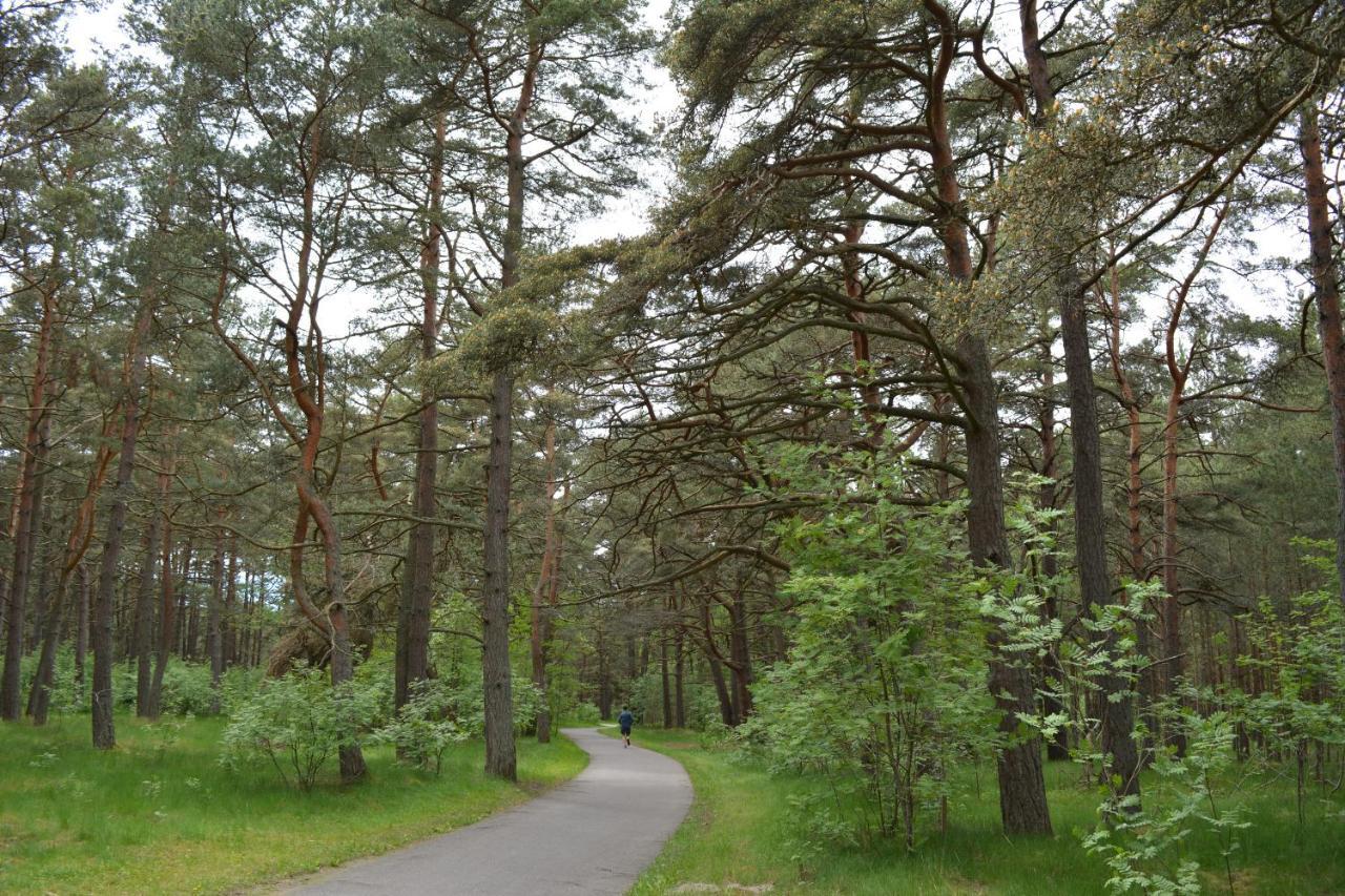 Apartmán Gamtos Apsupty Palanga Exteriér fotografie